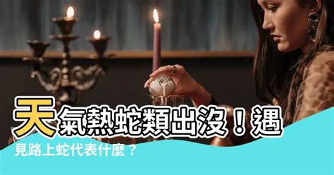 路上看到蛇|【路上遇到蛇代表什麼】天氣熱！路上遇到蛇代表什麼？民俗專家。